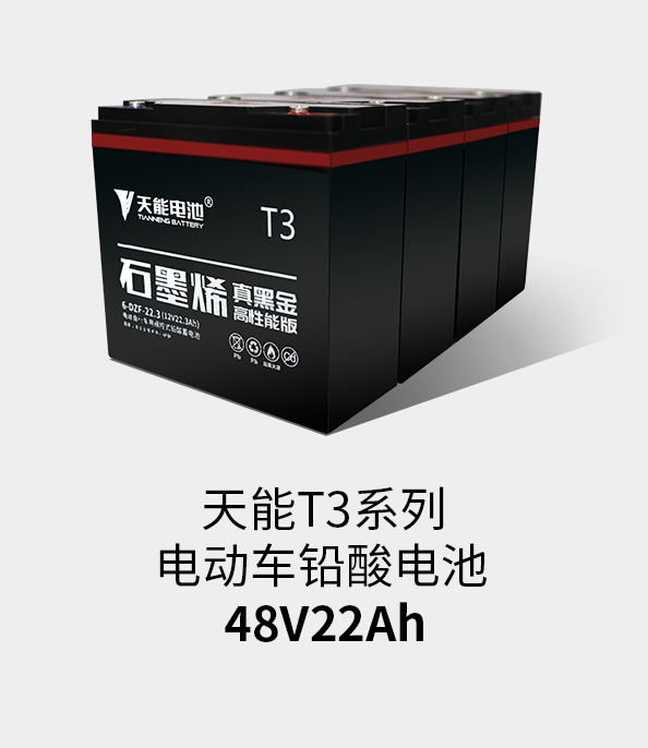 通博TBETT3係列48v22ah